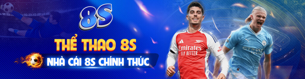 Thể thao 8s, Nhà cái 8s chính thức