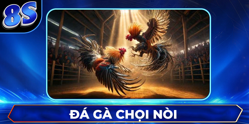 Đá Gà Chọi Nòi – Tinh Hoa Võ Thuật Truyền Thống Trên Đấu Trường Gà