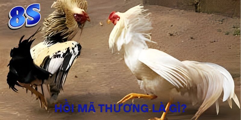 Hồi mã thương là gì?