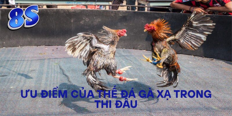 Ưu điểm của thế đá gà xạ trong thi đấu